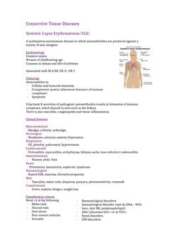 Rheumatology Notes