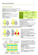 Musculoskeletal Notes